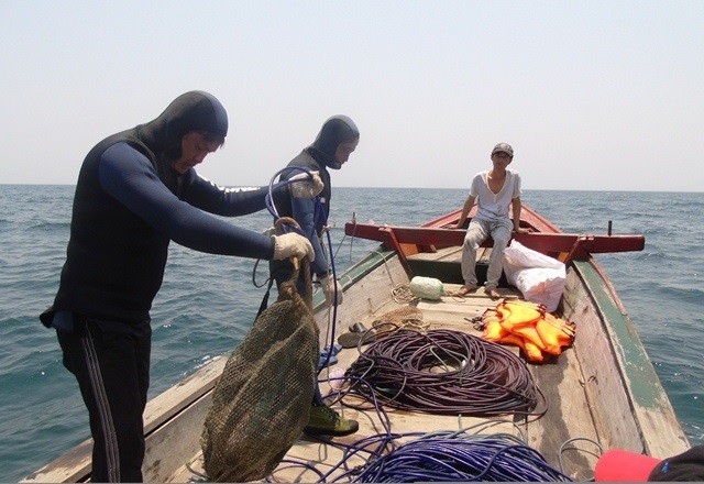 Nhiều ngư dân xã Nhân Trạch phát hiện cá chết nằm xếp lớp dưới đáy biển (Ảnh: Đ.T)