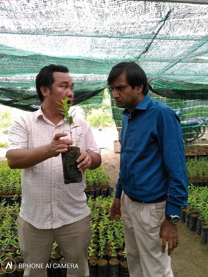 Tiến sĩ Vũ Thoại đang cùng Giáo sư Ashutosh (áo xanh) - chuyên gia hàng đầu về cây đàn hương của Ấn Độ trong chuyến thăm khảo sát khu vực trồng đàn hương tại Việt Nam (ảnh: NVCC)