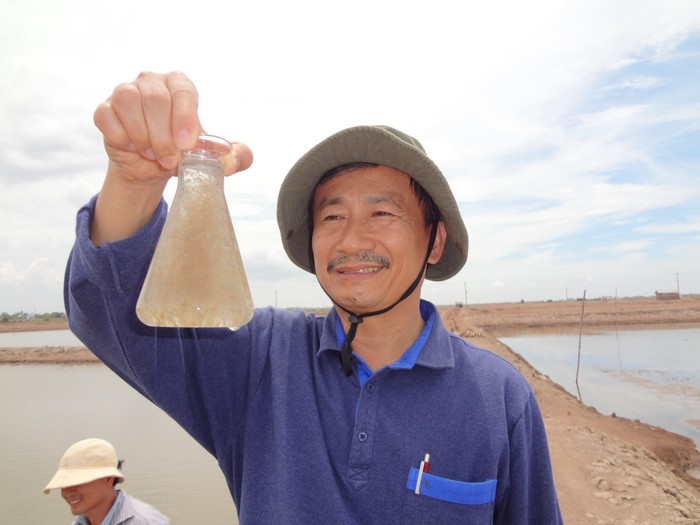 Giáo sư Nguyễn Văn Hòa quan sát Artemia (ảnh: NVCC)