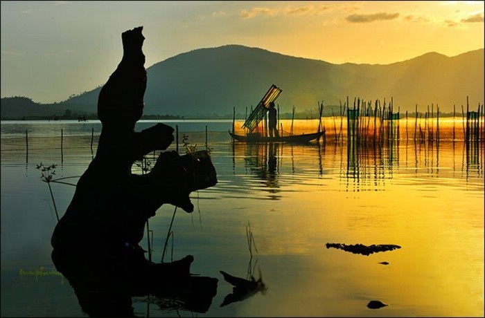 Đến với hồ Lắk sẽ không thể bỏ lỡ những cảnh đẹp làm say lòng người như thế này, ánh nắng vàng rọi chiếu của bình mình, mặn nồng của hoàng hôn