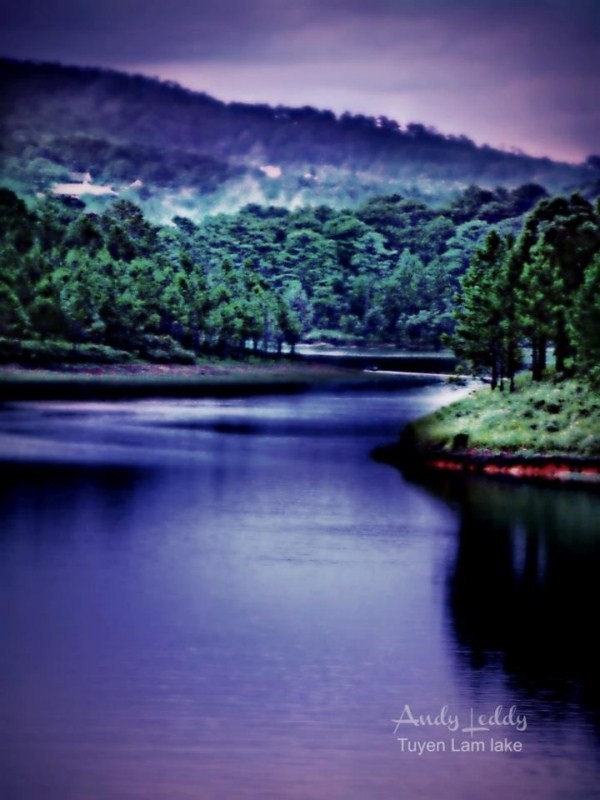 Hồ Tuyền Lâm một chiều nước trong, phẳng và trôi êm đềm, có lẽ tác giả đã tô thêm cho dòng nước một màu tím mộng mơ rất lãng mạn.