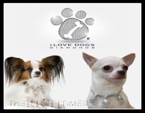 Mới đây, công ty I Love Dog đã tạo ra một bộ sưu tập vòng cổ đắt tiền dành riêng cho những chú cún mang tên “La Collection de Bijoux”. Bộ sưu tập vô cùng xa xỉ này gồm 6 chiếc và đều được gắn đá quý như kim cương, ngọc bích. Chiếc vòng rẻ nhất có giá 150.000 USD, còn chiếc đắt nhất lên tới vài triệu đô.