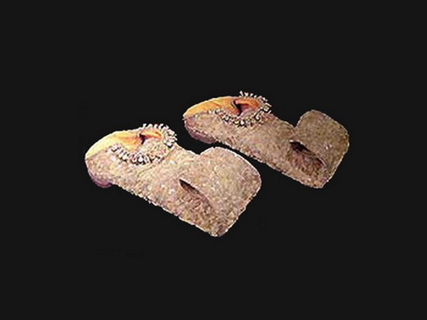 Đôi dép Nizam Sikandar Jah Giá: 160.000 USD Đôi dép này đã từng thuộc sở hữu của hoàng gia Ấn Độ, nơi nổi tiếng với cuộc sống xa hoa. Vì thế mà đôi dép cũng được thiết kế rất xa xỉ. Đôi dép được làm từ thế kỷ 18 ánh lên sự quyến rũ của hồng ngọc và kim cương. Nhưng thật không may, vào năm 2006, nó đã bị đánh cắp ở bảo tàng Bata Shoe ở Toronto, Canada.
