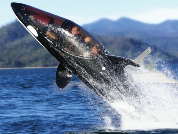 Tàu ngầm Killer Whale, 100.000 USD, chứa được hai người và có thể đạt vận tốc 80 km/h trên mặt nước hoặc 40 km/h nếu ở dưới mặt nước.
