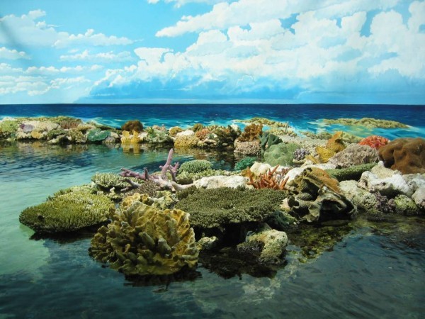 5. Great Barrier Reef (Australia) Cát trắng tinh khiết và rạn san hô đầy ắp cá là điểm nổi bật của quần đảo Great Barrier Reef. Những đảo nhỏ như Reef, Lizard, Hayman, Bedarra là địa điểm lý tưởng cho các thợ lặn. Bãi biển đẹp nhất: Bãi biển Whitehaven ở Whitsundays là bãi biển ăn ảnh nhất với rạn san hô nhiều màu sắc và 7 km bờ cát trắng phau tưởng như kéo dài mãi. Khu nghỉ dưỡng: Lizard Island Resort, một resort đẳng cấp 5 sao với 40 phòng hiện đại và 24 bãi biển tư nhân.