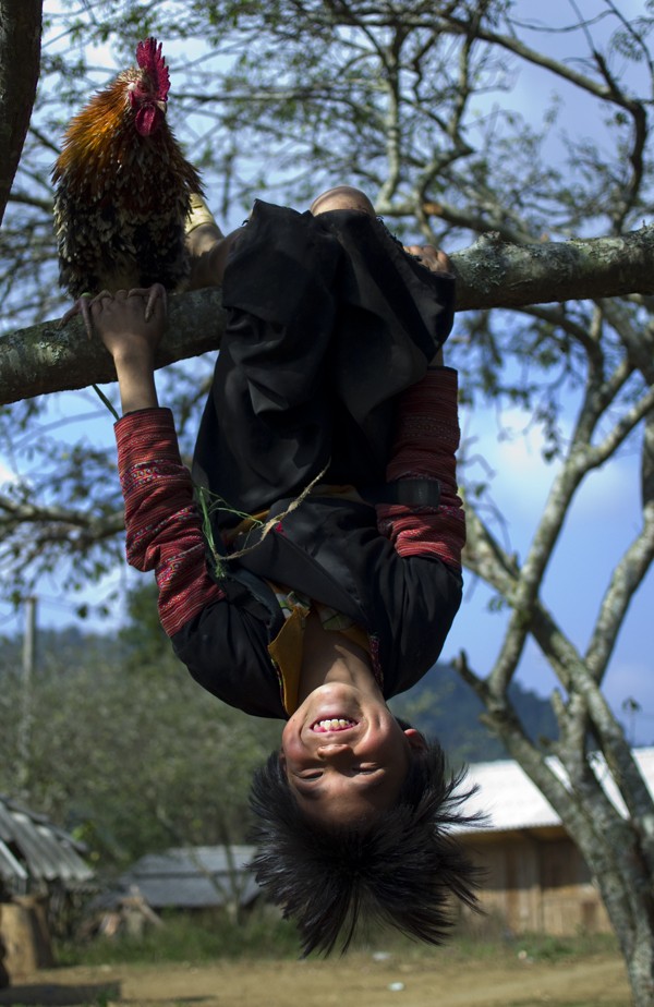 Trẻ con vùng cao có cuộc sống gần gũi với thiên nhiên