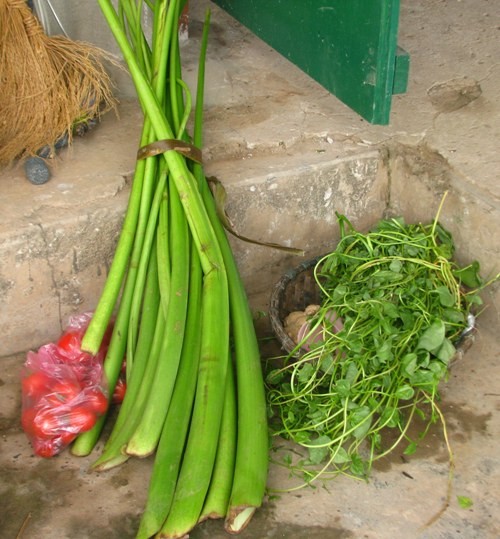 Hàng ngày, chị Thương đều mua rau ở chợ. Ngoài ra, những thức ăn khác đều được bắt ở đầm.