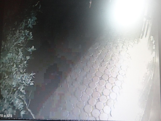 Một hình ảnh được cắt ra từ clip mà camera quan sát ghi lại tại hiện trường vụ án.