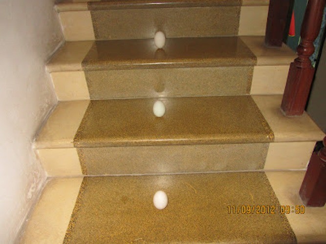Hình ảnh ông Hà dựng trứng trên cầu thang nhà mình.