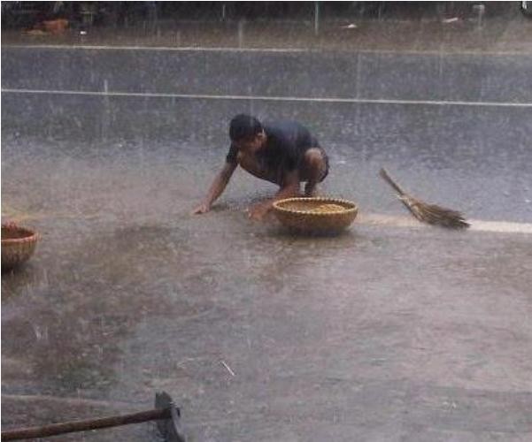Nhiều thành viên mạng xã hội faceook đã không kìm nổi xúc động khi chứng kiến bức ảnh người nông dân cố gắng vét những hạt thóc còn xót lại trên sân trước khi chúng bị nước mưa cuốn trôi.