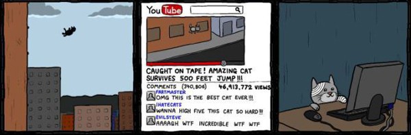 Tự tử bất thành... Clip về chú mèo thoát chết sau khi nhảy lầu được đến 46 triệu views.. Đời lại vui...