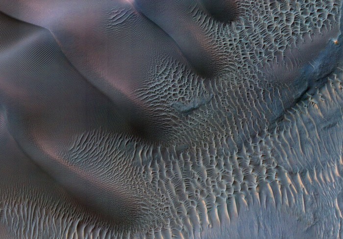 Bề mặt của Sao Hoả, trong một bức ảnh được chỉnh màu sắc do NASA cung cấp và công bố vào ngày 25/01/2012. Trong ảnh là các đụn cát nằm trong một miệng núi lửa ở khu vực Noachis Terra. Khu vực trong ảnh rộng chừng 1km.