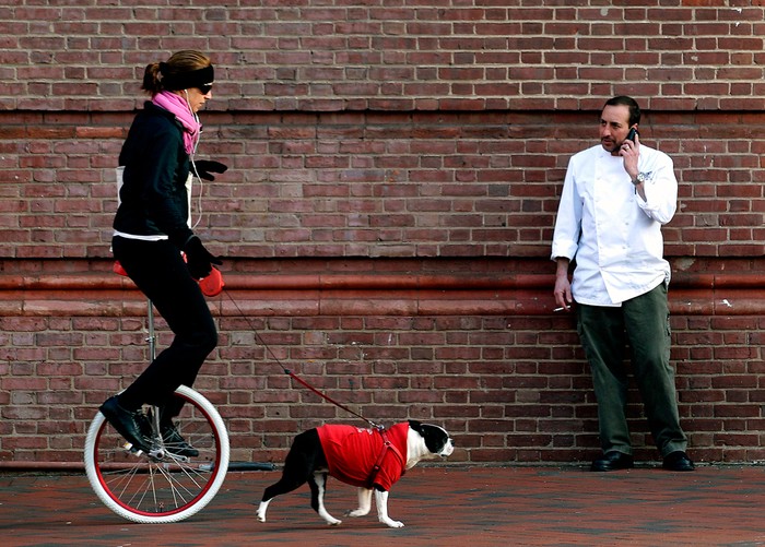 Cô Lisa Polinori đi dạo trên chiếc xe đạp một bánh cùng với chú chó của cô tại Baltimore, Maryland, 06/03/2012.