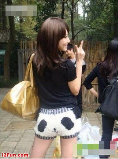 Em Panda xin chào!