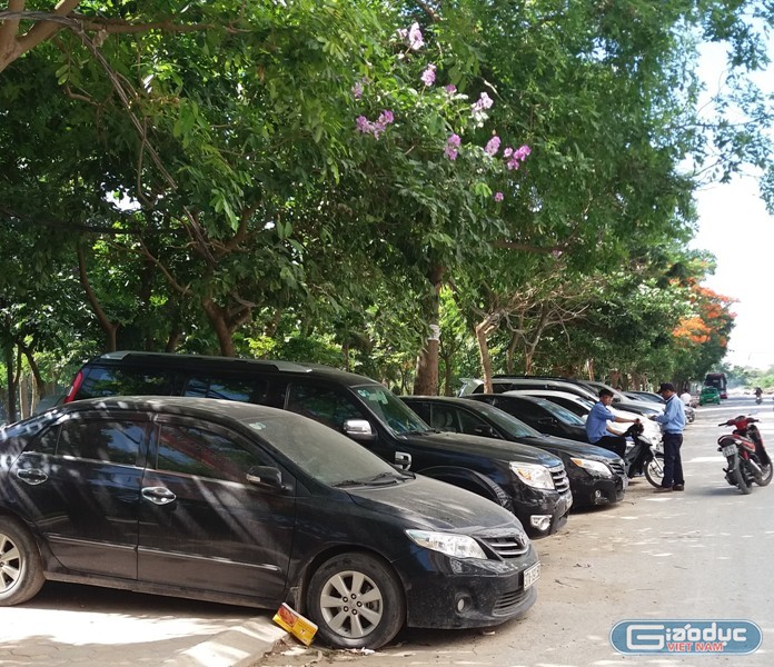 Đã hết hạn cấp phép tạm thời nhưng Công ty Tân Nhật Linh vẫn ngang nhiên trông xe, thậm chí còn chiếm luôn cả công viên làm điểm trông giữ với hàng chục đầu xe ô tô. Ảnh Liên Liên.