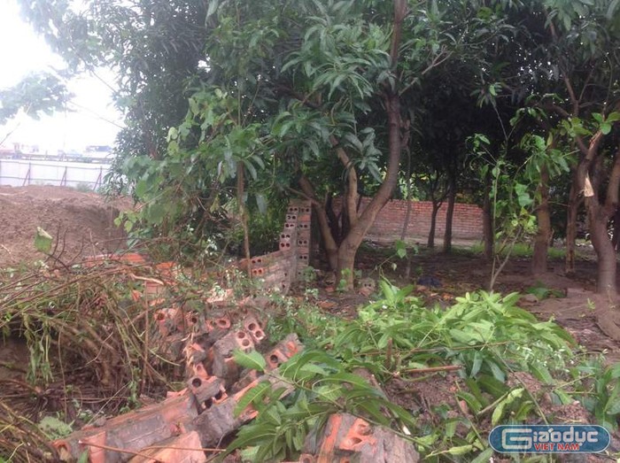 Cây cối, tường rào khu trang trại của bà Trần Mỹ Hạnh và 08 hộ dân thuộc phường Trần Phú đã bị công nhân của Công ty Gamuda Land Việt Nam phá hủy. Ảnh do người dân cung cấp.