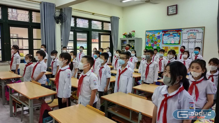 Học sinh tiểu học công lập ở Ninh Bình sẽ không phải đóng học phí kể từ năm học 2022 - 2023 trở đi. Ảnh minh họa: Trung Dũng