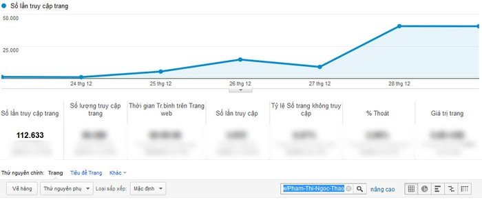 Chỉ số Google Analytics ấn tượng của Phạm Thị Ngọc Thảo