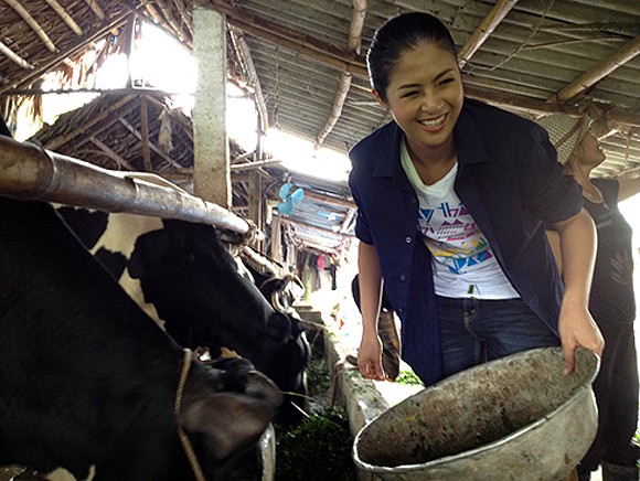 Dù phải vất vả cắt cỏ voi, tắm cho bò, cho bò ăn nhưng Hoa hậu Việt Nam 2010 luôn nở nụ cười trên môi. (Theo GDVN)