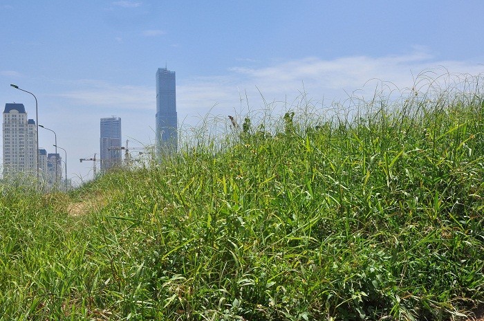 Trước đây, dự án xây dựng tòa nhà cao nhất Việt Nam 102 - tầng là đối thủ của tòa nhà Kangnam nhưng cho tới nay thì dự án này vẫn bị bao chùm bởi cỏ dại và hoang vu.