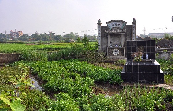 Những luống rau được trồng ngay trên diện tích đất các lăng mộ ở nghĩa địa xã Vĩnh Quỳnh.