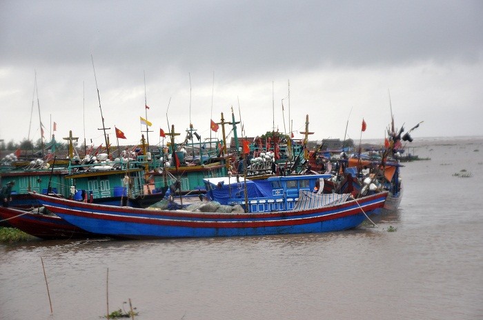 Tàu bè đánh cá của huyện Hải Hậu đã được chính quyền kêu gọi về nơi trú ẩn an toàn.