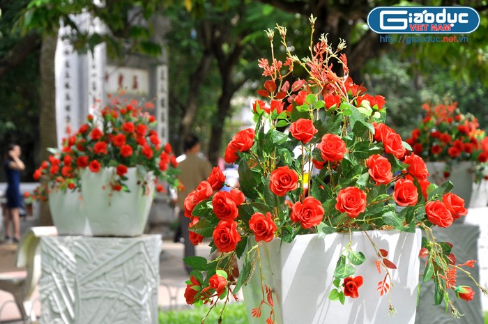 Những bồn hoa rự rỡ làm tôn lên vẻ trang trọng của khu vực bờ hồ Hoàn Kiếm.
