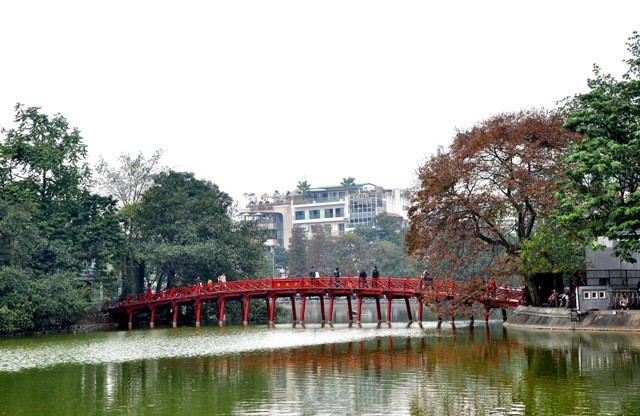 Cây bằng lăng lá đỏ trở thành điểm nhấn cạnh cây cầu Thê Húc thơ mộng.