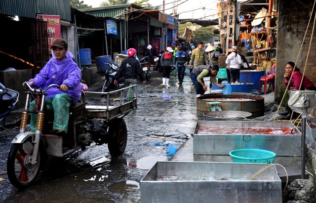 Chợ cá làng Sở Thượng (Hoàng Mai, Hà Nội) là chợ đầu mối chuyên cung cấp cá cho Thủ đô. Hàng ngày các tiểu thương tới đây mua cá về bán tại các chợ, quán ở trong nội thành.