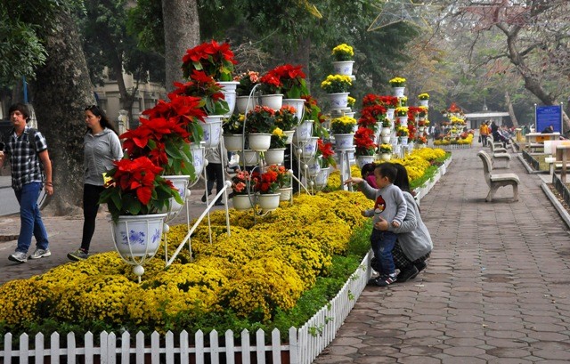 Việc trang trí hoa, cây cảnh phục vụ Tết, bắt đầu từ ngày 22/1 đến hết ngày 9/2.