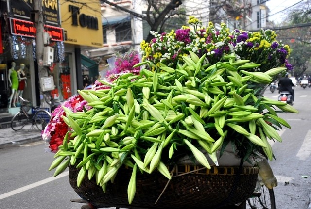 Hoa loa kèn được bày bán khắp trên mọi ngõ phố.