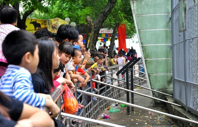 Vườn thú Hà Nội luôn là điểm đến hấp dẫn của các gia đình có con trẻ trong mỗi dịp nghỉ lễ. Các bé được trực tiếp được sống trong một thế giới động vật thu nhỏ.
