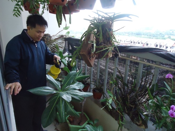 Anh Vũ Quang Tiệp luôn dành thời gian để chăm sóc cây bàng vuông (ảnh Trinh Phúc).