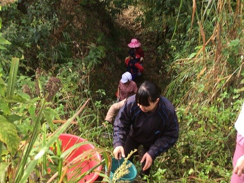 Con đường đi lấy nước đường dốc thẳng đứng của các cô giáo mầm non ở Núa Ngam (ảnh báo Dân Việt).