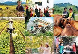 Chương trình nông thôn mới đã làm thay đổi bộ mặt nhiều vùng quê (ảnh chinhphu.vn).