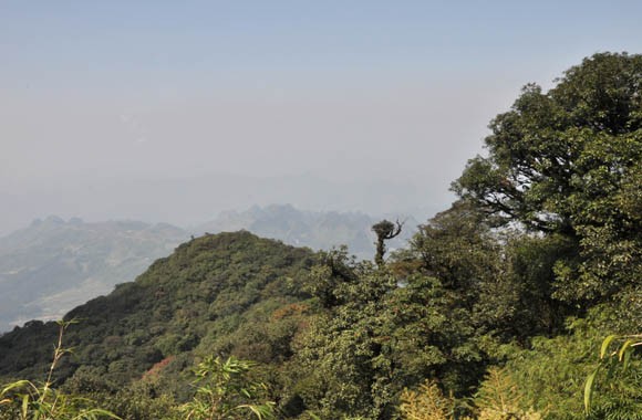 Vườn quốc gia Phia Oắc - Phia Đén có tổng diện tích tự nhiên 10.593,5 ha: (ảnh nguồn chinhphu.vn).