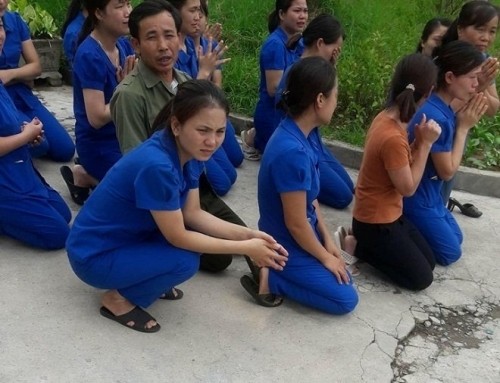 Các cô giáo quỳ gối xin đừng đóng của cơ sở mầm non Tuổi Thơ (ảnh nguồn báo Nghệ An).