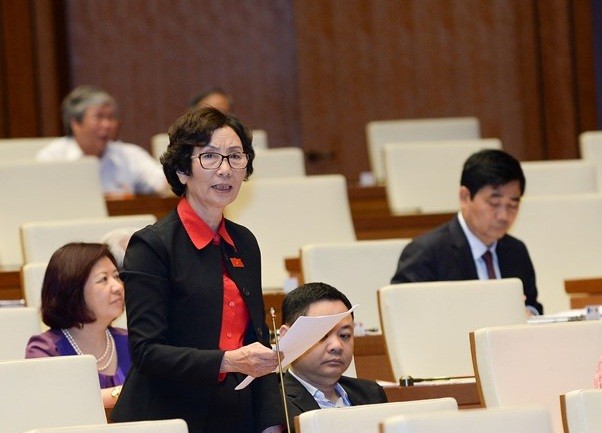 Bà Bùi Thị An, Đại biểu Quốc hội khóa 13 (ảnh nguồn quochoi.vn).