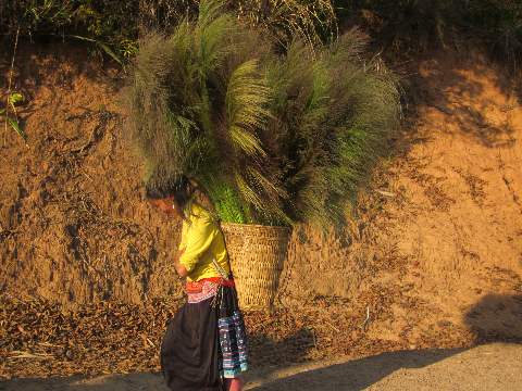Và cuộc sống của con người Điện Biên hiện lên với vẻ đẹp bình dị. (ảnh chụp trên đường đi huyện Mường Nhé - tỉnh Điện Biên)