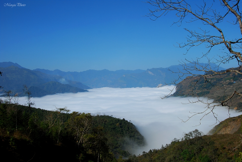 Biển mây ỏ Y Tý - Lào Cai đẹp như một bức tranh thủy mặc.