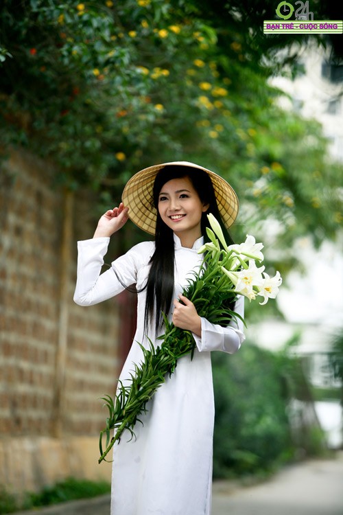 Hoa loa kèn hay huệ tây, ở Đà Lạt gọi là hoa Ly