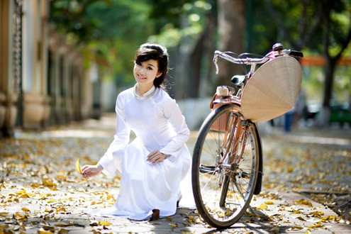 Thiếu nữ với tà áo dài trắng dường như không thể thiếu trong bức tranh Hà Nội mùa sấu rụng.