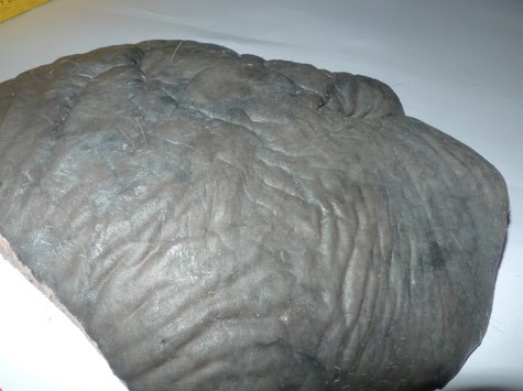 Thịt Dugong được phát hiện tại Phú Quốc