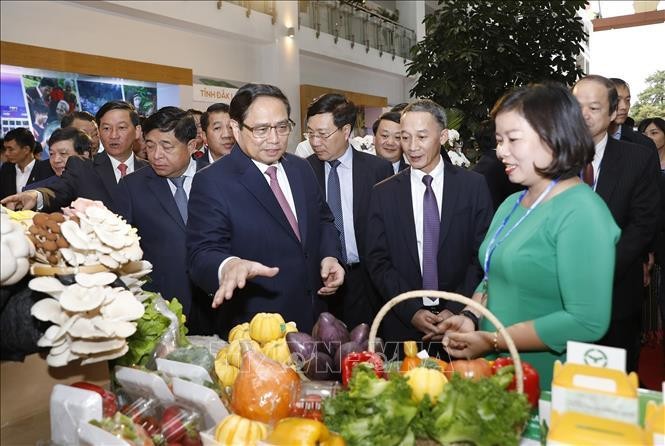 Thủ tướng Phạm Minh Chính tham quan trưng bày sản phẩm nông nghiệp vùng Tây Nguyên. Ảnh: Dương Giang/TTXVN