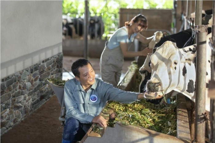 Với Chương trình Phát triển ngành sữa triển khai trên cả nước, FrieslandCampina Việt Nam đã giúp các nông hộ làm ra được nguồn sữa chất lượng cao, được sản xuất theo phương thức bền vững chuẩn Hà Lan.