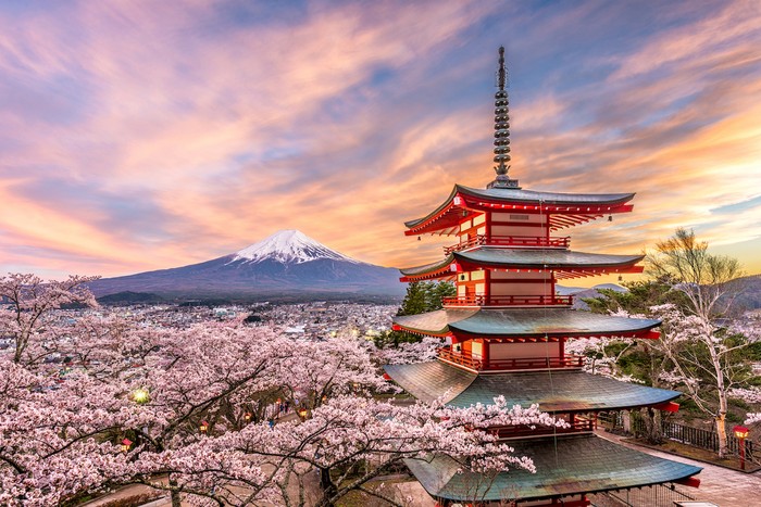 Nhật Bản đang vào mùa hoa anh đào với những cảnh quan đẹp hút mắt