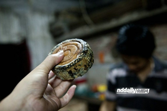 Cơ quan chức năng ở Trung Quốc vừa tiến hành kiểm tra một số cơ sở sản xuất bánh Trung thu, Tại một địa điểm ở Quảng Đông (Trung Quốc), nhân viên kiểm tra đã phát hiện bánh Trung thu bị mốc meo, không thể ăn được.