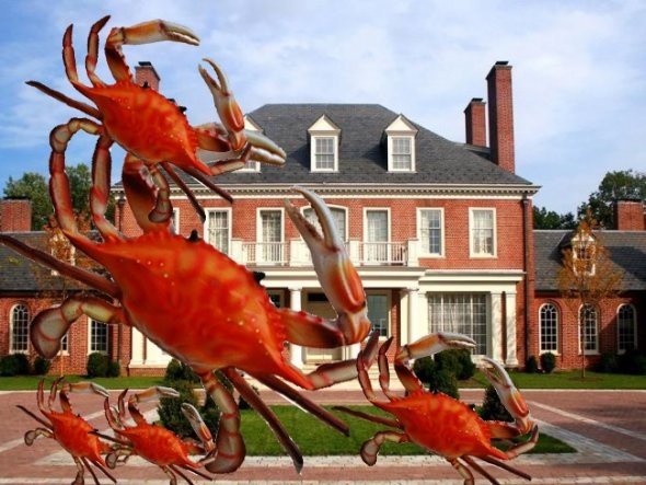 Người sáng lập Công ty Phillips Seafood, - ông Steve Phillips đã bán khu bất động sản ở Annapolis với giá 32 triệu USD. Ngôi nhà nằm trên khu đất rộng 23 mẫu Anh và được xây dựng hồi năm 1922.