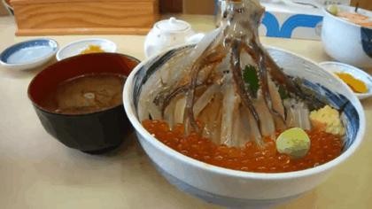 Món ăn lần đầu tiên được phục vụ tại nhà hàng Ikkateu Tabiji (Hakadote – Nhật Bản) với giá khoảng 2.000 yên (tức hơn 500.000 đồng).