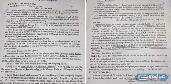 Một đề kiểm tra Ngữ văn 11 dài 2 mặt giấy A4, chi chít chữ. (Ảnh: CTV)